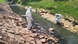 Pencemaran bau gas ammonia, tiga sekolah ditutup di Johor