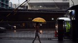 170328-my-kim-folo-1000.jpg