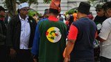 Sokongan PAS terhadap Najib untuk lemahkan kerajaan Anwar - Penganalisis