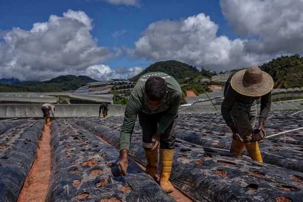 Malaysia Bersetuju Buka Semula Pengambilan Pekerja Asing Untuk Semua Sektor Malaysia Bersetuju Buka Semula Pengambilan Pekerja Asing Untuk Semua Sektor