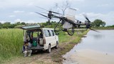 Teknologi dron pikat anak muda kembali ke sawah padi