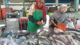 TH-fisheries-pattani-620