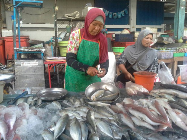TH-fisheries-pattani-620 TH-fisheries-pattani-620
