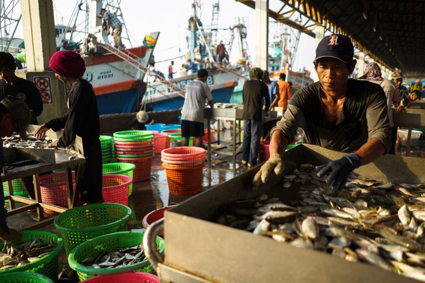 2018-01-23T100321Z_1710299825_RC191A4AD4F0_RTRMADP_3_THAILAND-FISHING-LABOUR.JPG 2018-01-23T100321Z_1710299825_RC191A4AD4F0_RTRMADP_3_THAILAND-FISHING-LABOUR.JPG