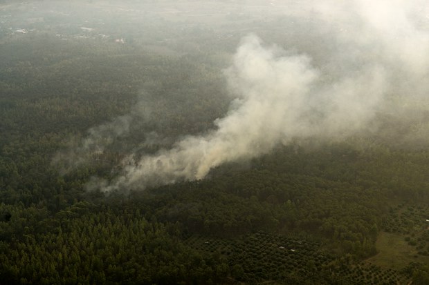 230321-th-air-pollution-chiangmai-1.jpg