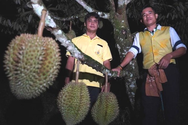200731-TH-CH-deepsouth-durian-1000.jpg 200731-TH-CH-deepsouth-durian-1000.jpg