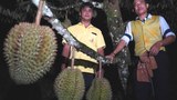 200731-TH-CH-deepsouth-durian-1000.jpg