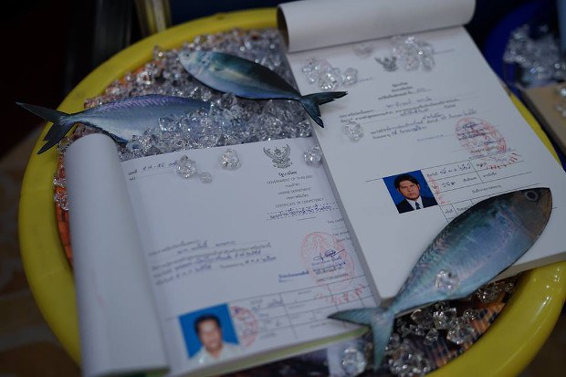 TH-EU-IUU-620 TH-EU-IUU-620
