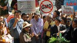 TH-GMO-DraftBill-800