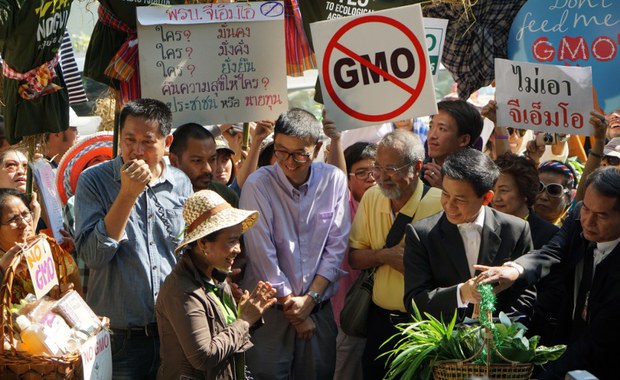 TH-GMO-DraftBill-800 TH-GMO-DraftBill-800