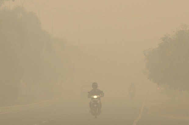 TH-haze-620 TH-haze-620