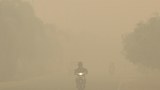 TH-haze-620