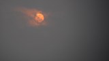 TH-Haze-1000