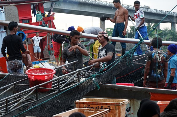 180404-TH-migrants-fishing-1000.jpg 180404-TH-migrants-fishing-1000.jpg