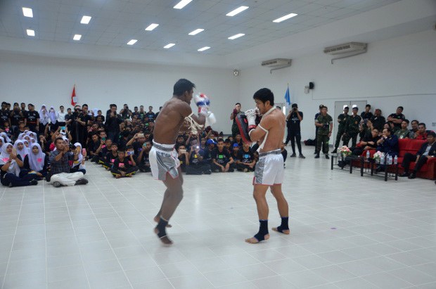 TH-boxer-620 TH-boxer-620