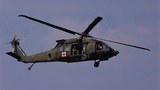200306-TH-cobra-gold-1000.jpg