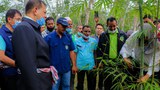 200805-TH-powerplants-commercial-crops-1000.jpg