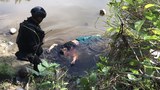 190503-TH-deepsouth-insurgent-1000.jpg