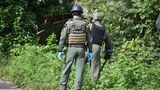 190116-TH-violence-1000.jpg
