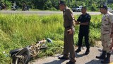 190709-TH-deepsouth-violence-800.jpg