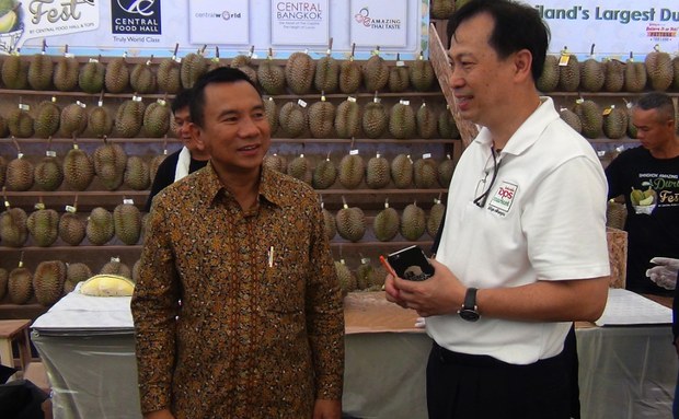 TH-durian-800 TH-durian-800