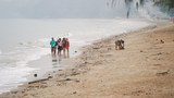 180605-TH-trash-1000.jpg