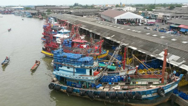 TH-fisheries-620 TH-fisheries-620