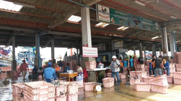 TH-fisheries-extension-620 TH-fisheries-extension-620
