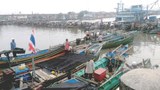TH-fisheries-620