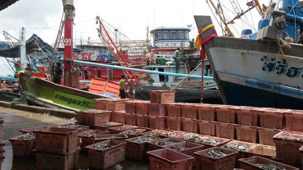 TH-fishing-industry-620 TH-fishing-industry-620