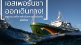 TH-greenpeace-900