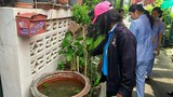 180918-TH-dengue-1000.jpg