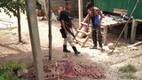 190809-TH-violence-800.jpg