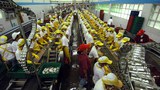TH-labor-folo-1000