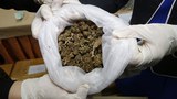 181106-TH-marijuana-1000.jpg