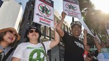 181226-TH-medical-marijuana-1000.jpg