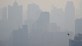 200108-TH-pollution-1000.jpg