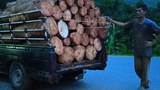 181019-TH-rubberwood-1000.jpg