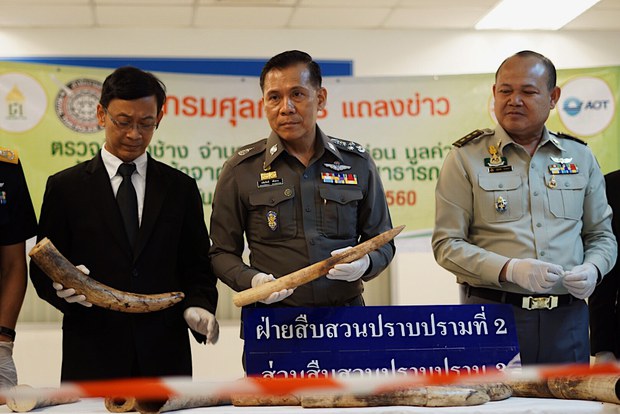 TH-ivory-seized-1000 TH-ivory-seized-1000
