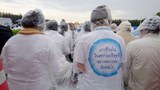 TH-dhammakaya-800