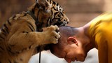 190916-TH-Tiger-1000.jpg