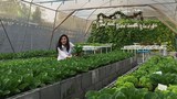 180129-TH-Yingluck-620.jpg