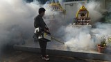 TH-fumigation-1000