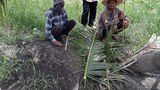 TH-farmers-620