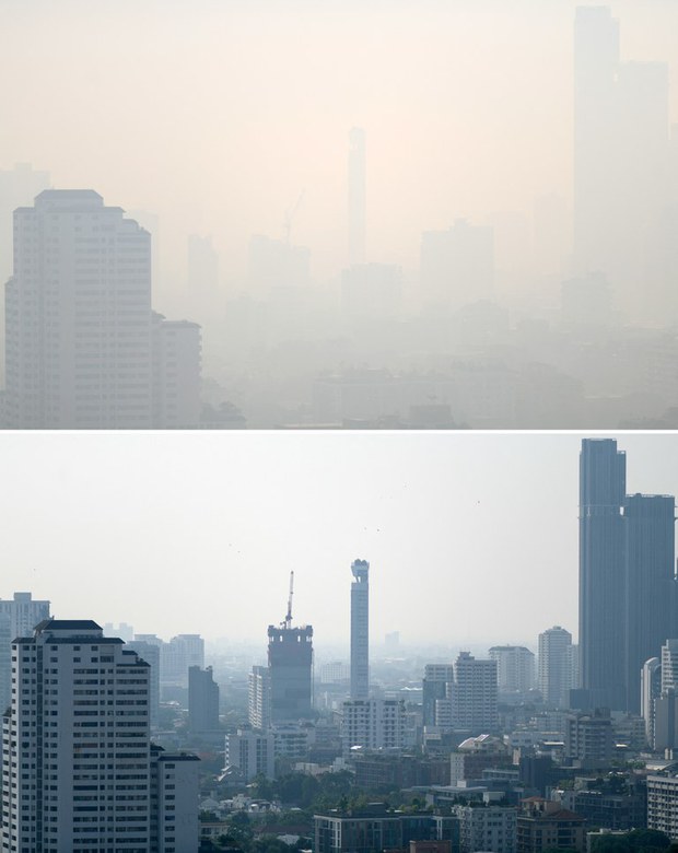 environment 3.jpeg