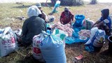 160310-th-shrimp-fishing-620.jpg