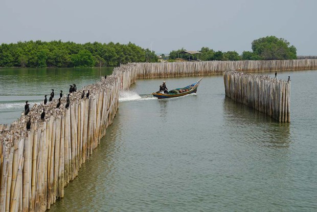 pattani10.jpg