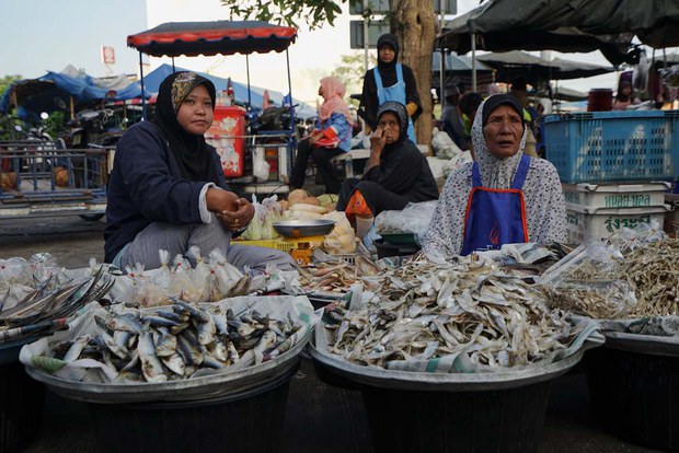 pattani6.jpg