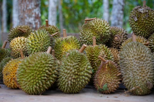 fruitsbuffet05.jpg