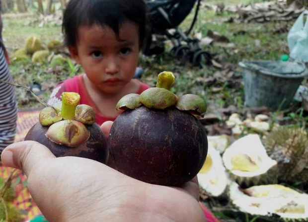 fruitsbuffet06.jpg